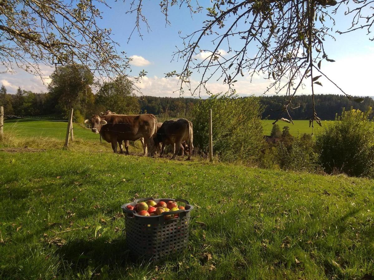 Ferienwohnung Trifts | Einzelbetten | Parkplatz Wangen im Allgäu المظهر الخارجي الصورة